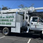Dead or Alive Tree Service Coupons Gallery Image
