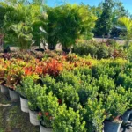 Mic Smith Landscaping Gallery Image