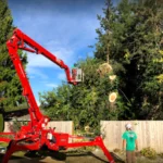Dead or Alive Tree Service Coupons Gallery Image
