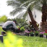 Mic Smith Landscaping Gallery Image