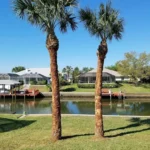 Southern Cuts Tree Service Coupons Gallery Image