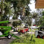 Timber & Turf Coupons Gallery Image